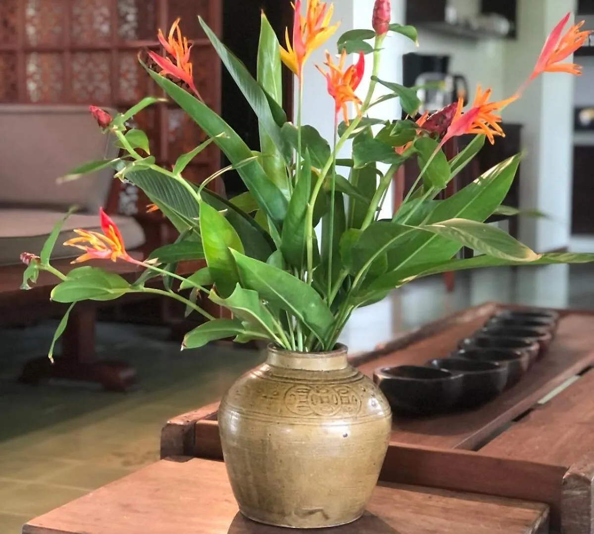 Anicca Riverside Villa With Private Pool Hội An Vietnam